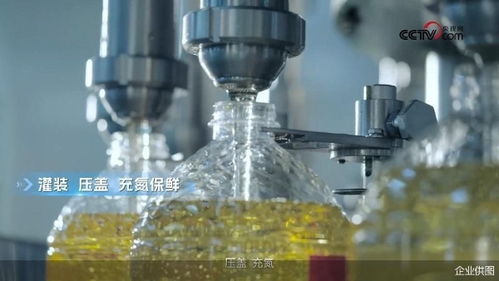 央視網(wǎng)探訪多力安心工廠 揭秘降低油煙技術(shù)專(zhuān)利背后的創(chuàng)新奧秘